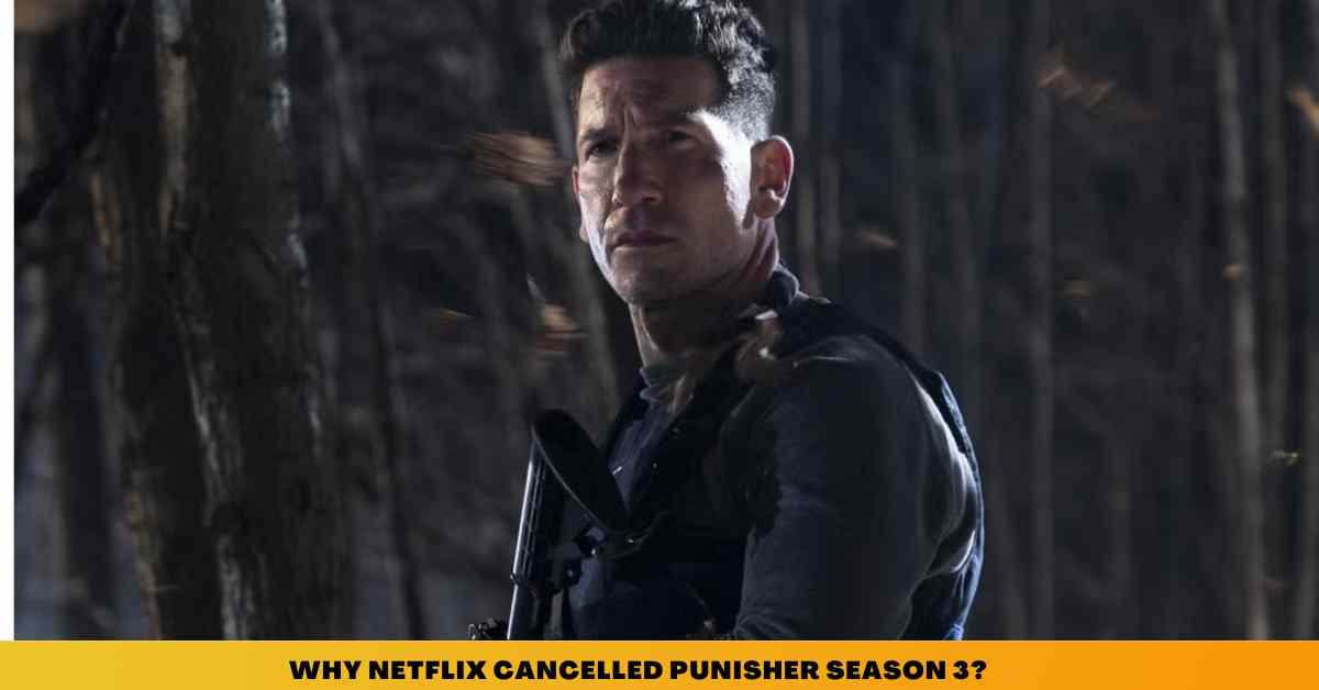 Punisher Season 3: Why It Never Happened + Possible Reboot